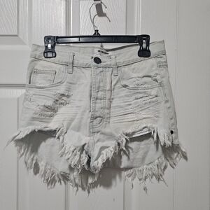 One X One Teaspoon Distressed Denim Shorts 25